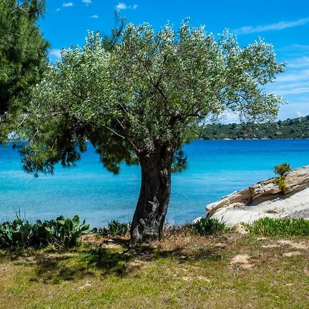 Filyra Seafront Villa, Vourvourou Villa *