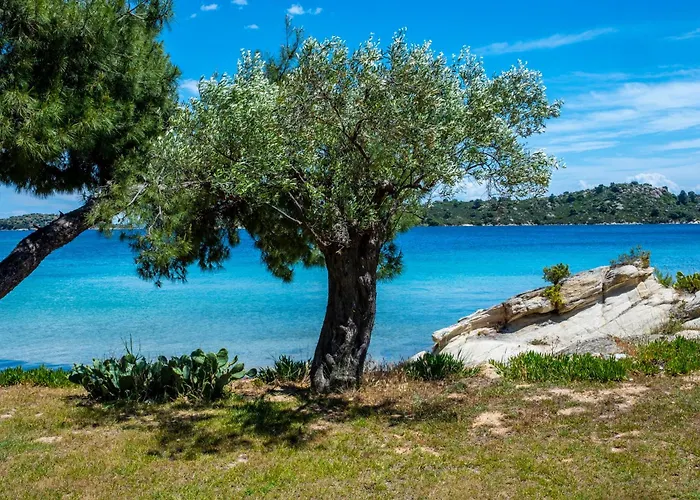 Filyra Seafront Villa, Vourvourou Villa *